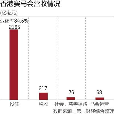 探秘海南赛马 马 步声已近,但未到喝 彩 时