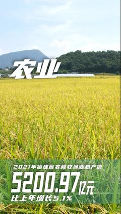 福建2021年全省生产总值48810.36亿元!增长8%