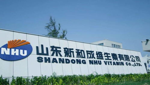 滨海区 精准服务助力企业高质量发展