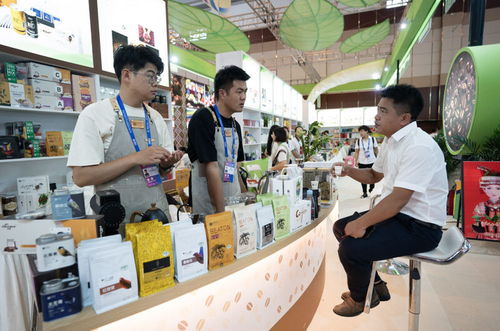 落实新时代推动西部大开发座谈会精神系列综述之一